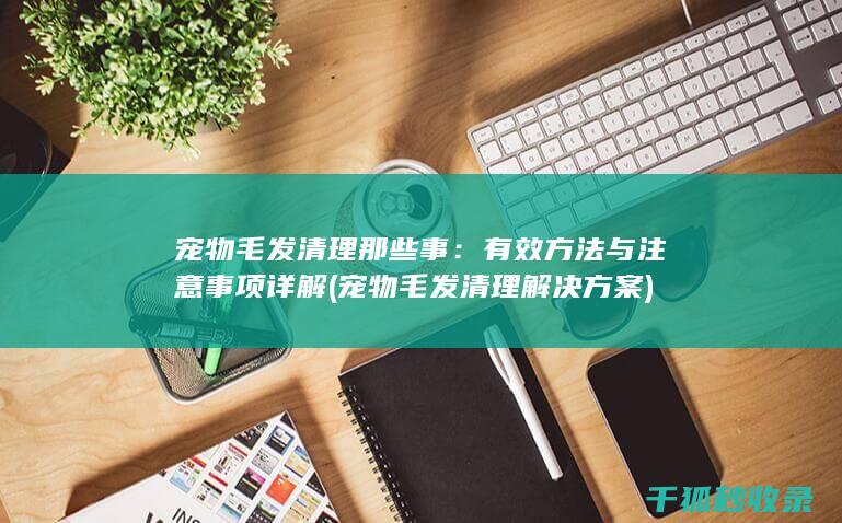 宠物毛发清理那些事：有效方法与注意事项详解 (宠物毛发清理解决方案)