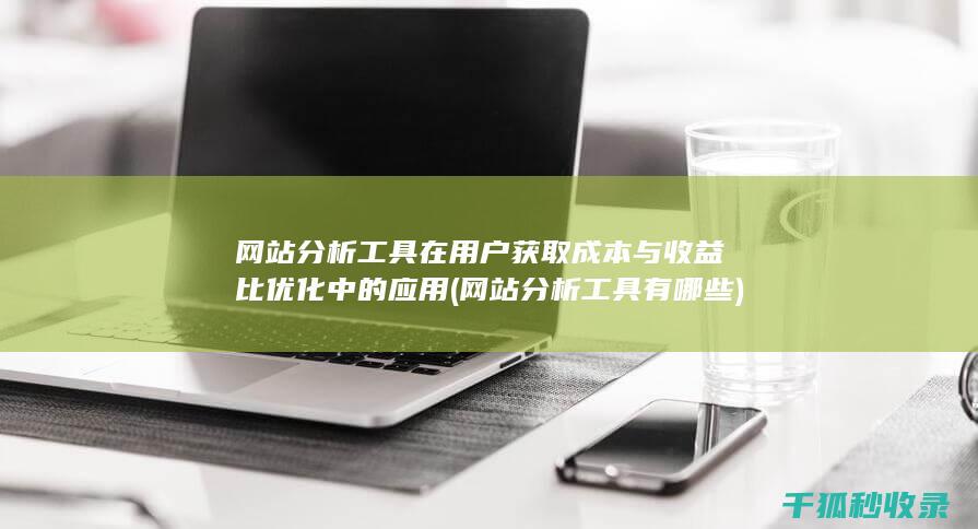 网站分析工具在用户获取成本与收益比优化中的应用 (网站分析工具有哪些)