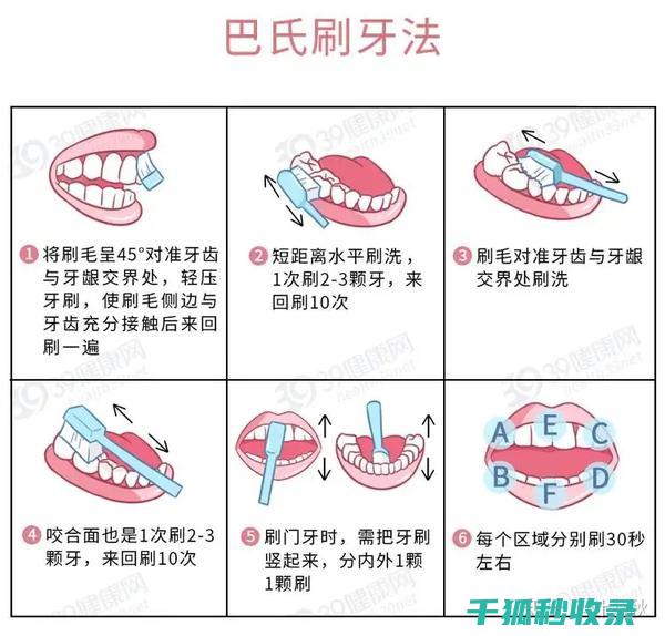 牙刷更换周期：你对牙刷寿命的认知够准确吗？ (牙刷更换周期频率图表)