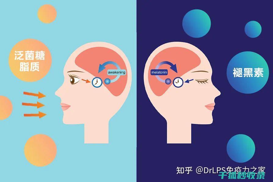 如何通过改善睡眠