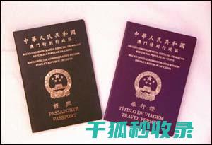 旅行证件办理秘籍：确保顺利出行的必备技巧 (旅行证件办理进度查询)
