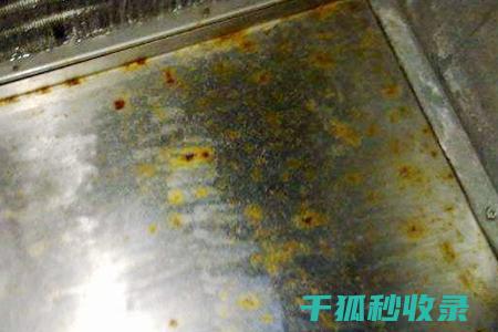 不锈钢发亮的奥秘：清洁与保养的全面解析 (不锈钢发亮的好还是不亮的好)