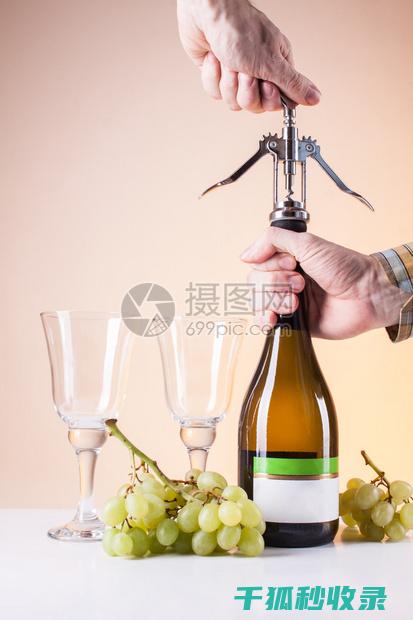 一瓶酒的开瓶艺术：从瓶塞到酒杯的完美过程 (一瓶酒打开了能放多久)