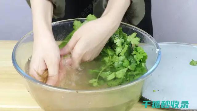 防香菜