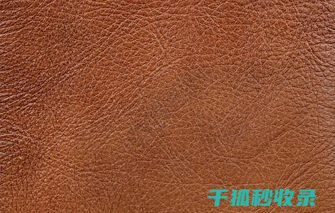 皮革去污全手册：教你彻底清洁皮革 (皮革去污小窍门)