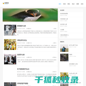 冷面寒铁网